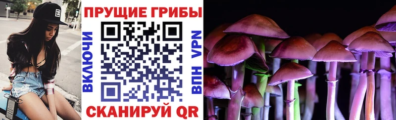 Псилоцибиновые грибы MAGIC MUSHROOMS  Купить где  Таштагол 