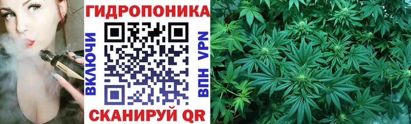 Конопля марихуана Купить где Таштагол